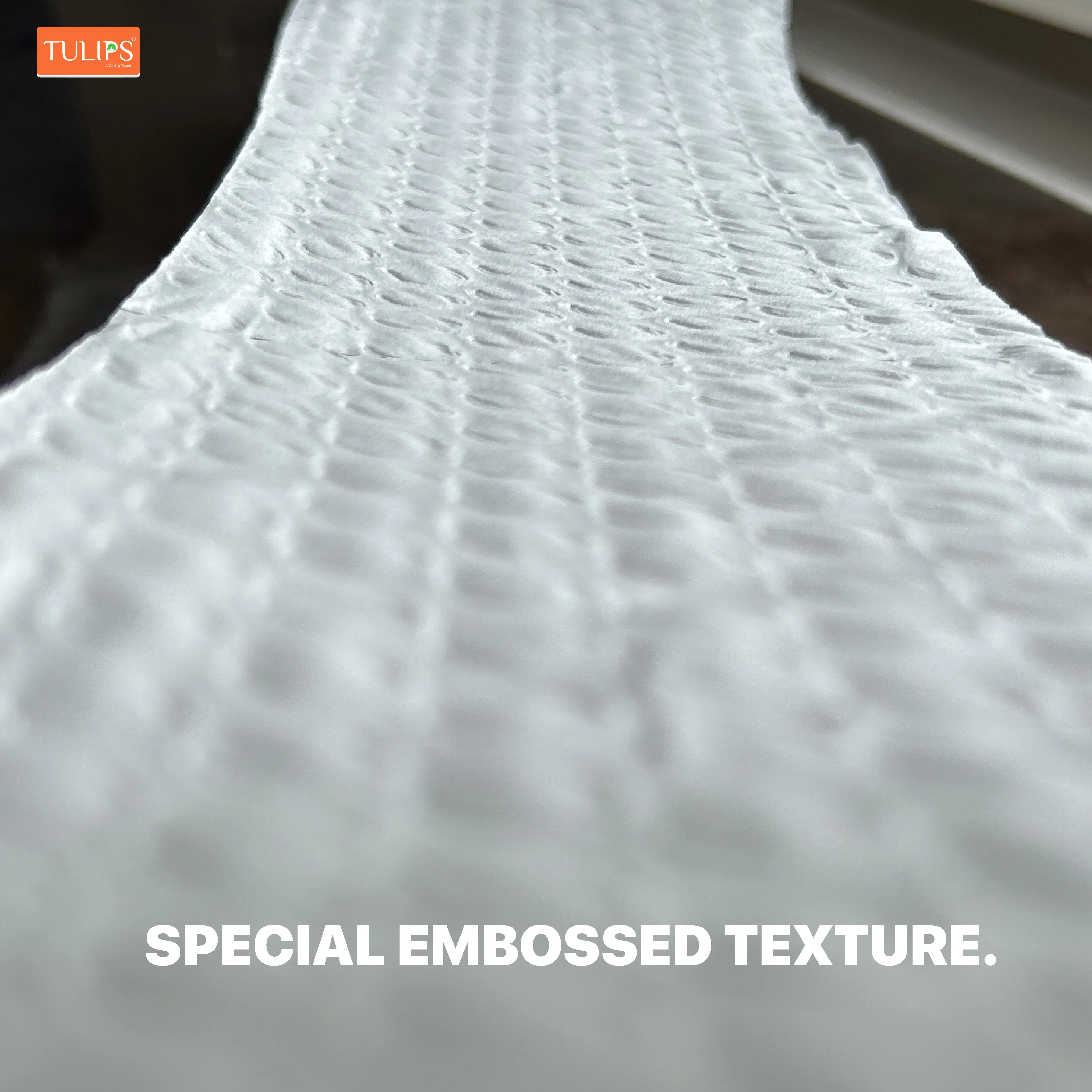 Toilet Roll (200 Pulls I 2 Ply | 10 Rolls) - Image 4