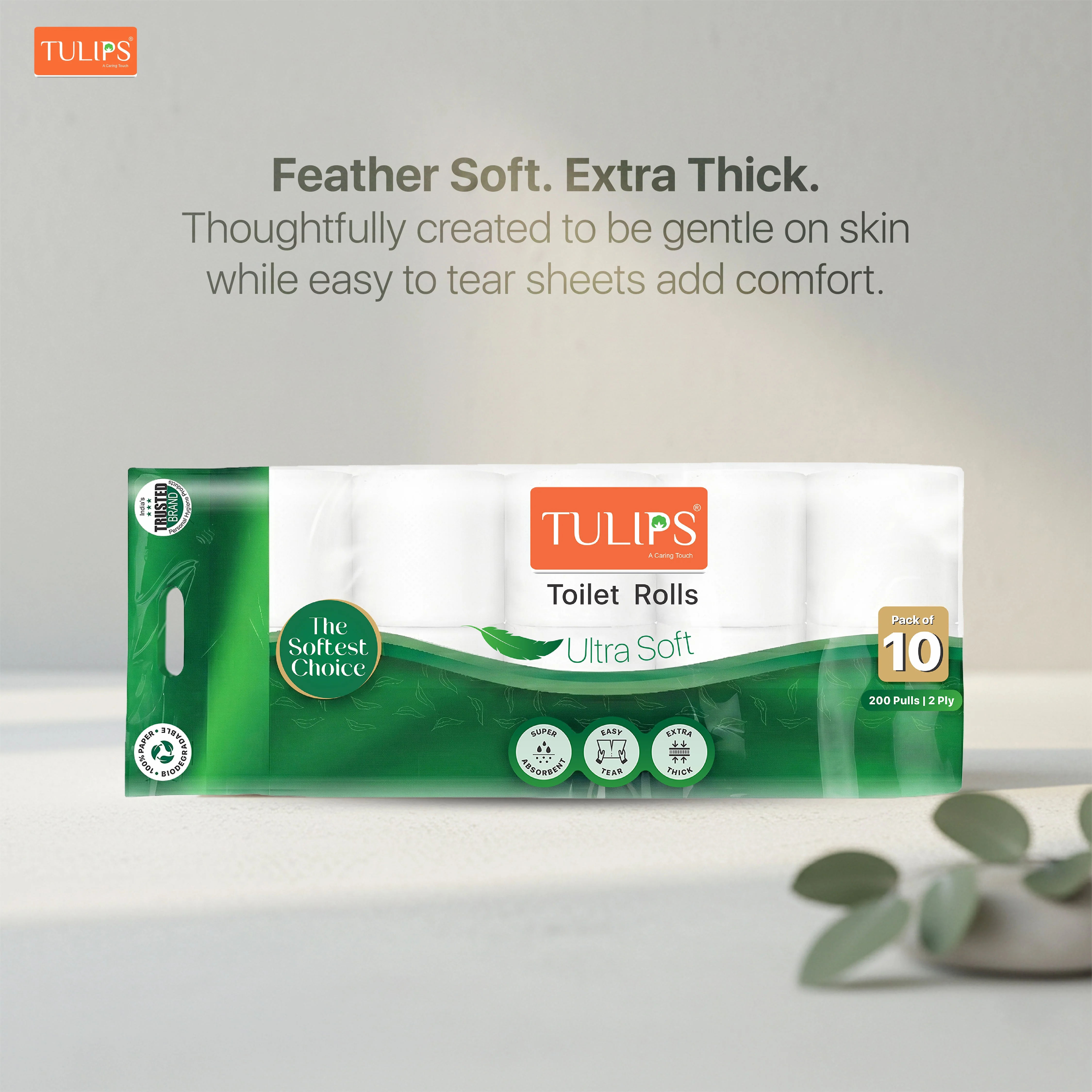 Toilet Roll (200 Pulls I 2 Ply | 10 Rolls) - Image 5
