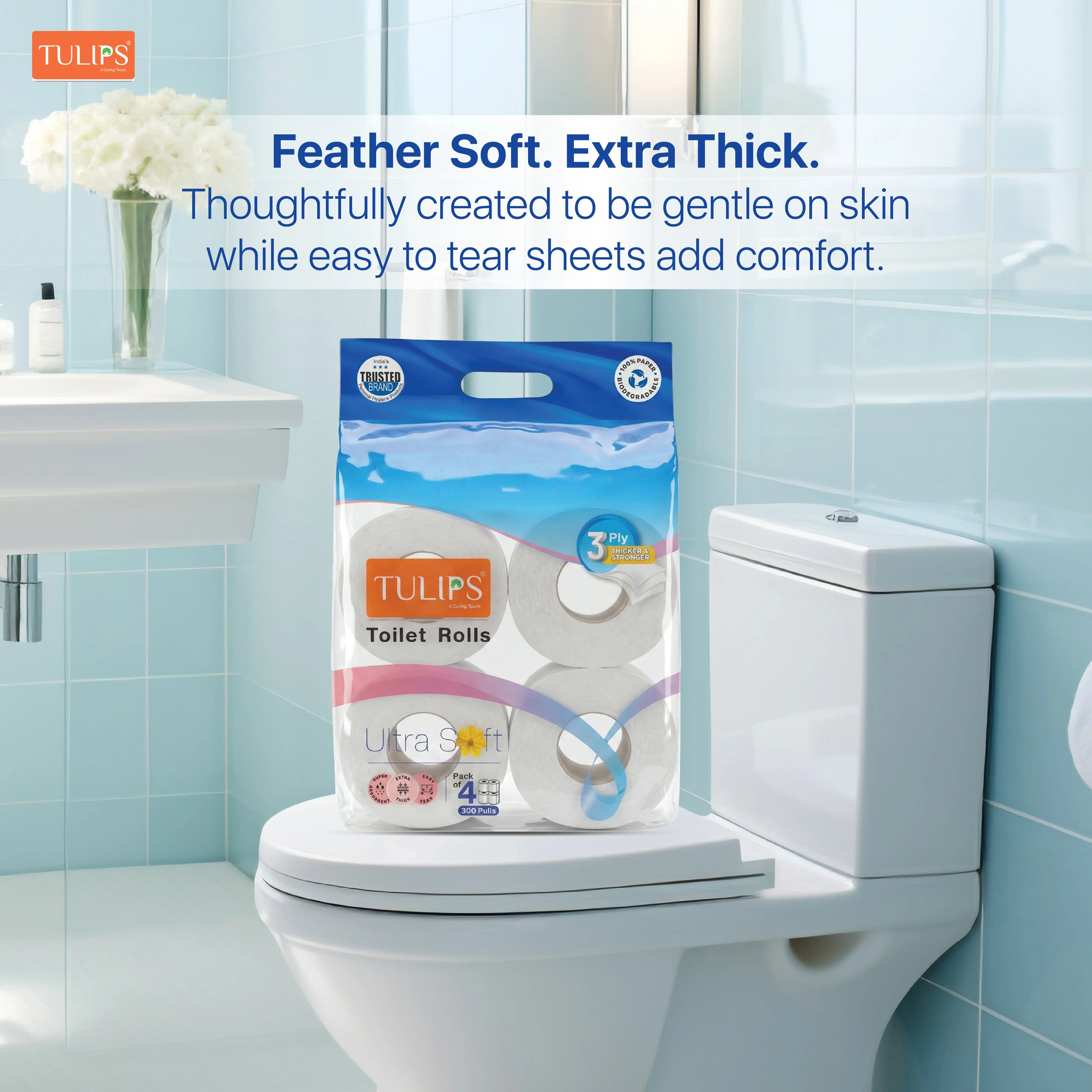 Toilet Roll (300 Pulls I 3 Ply) - Image 3