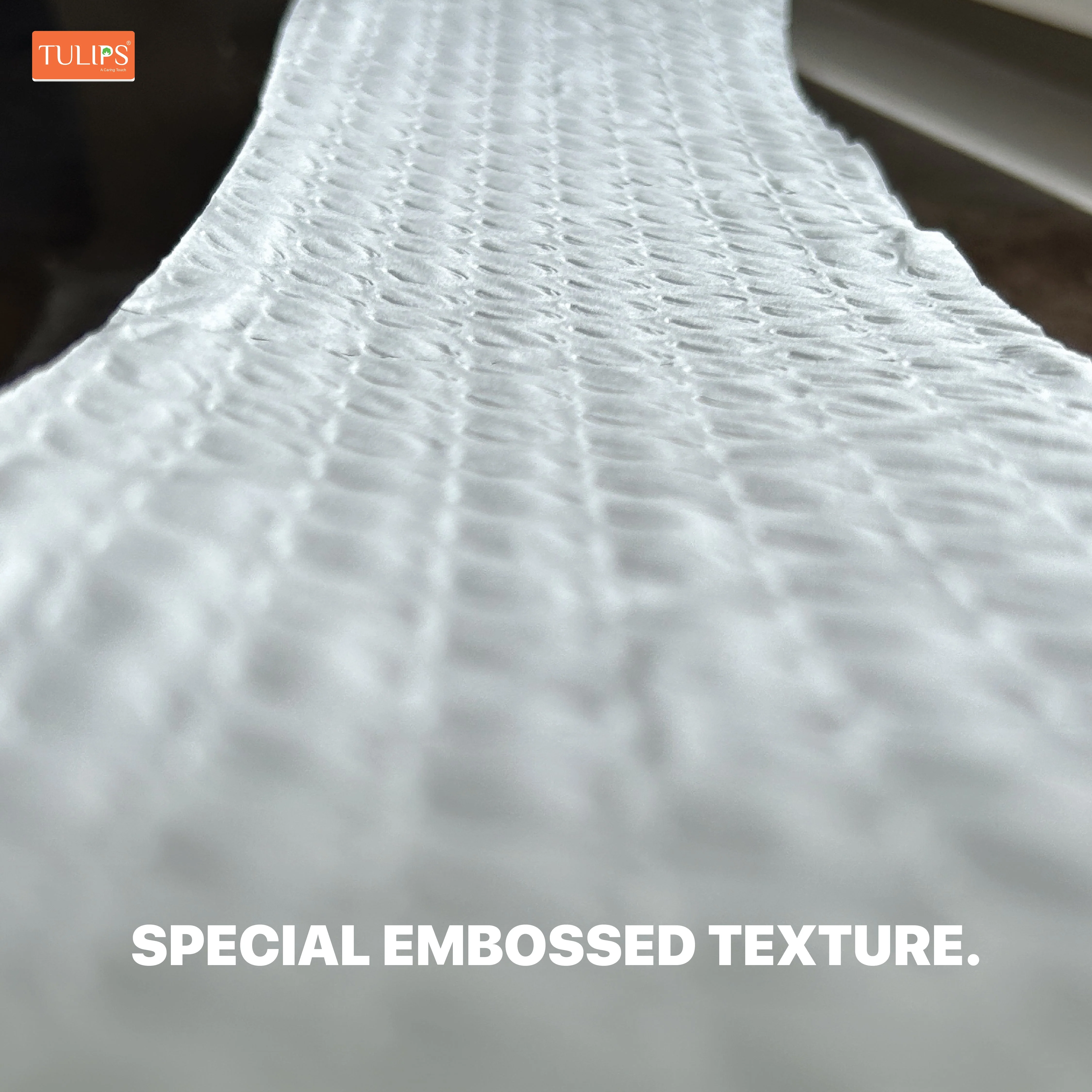 Toilet Roll (300 Pulls I 3 Ply) - Image 4