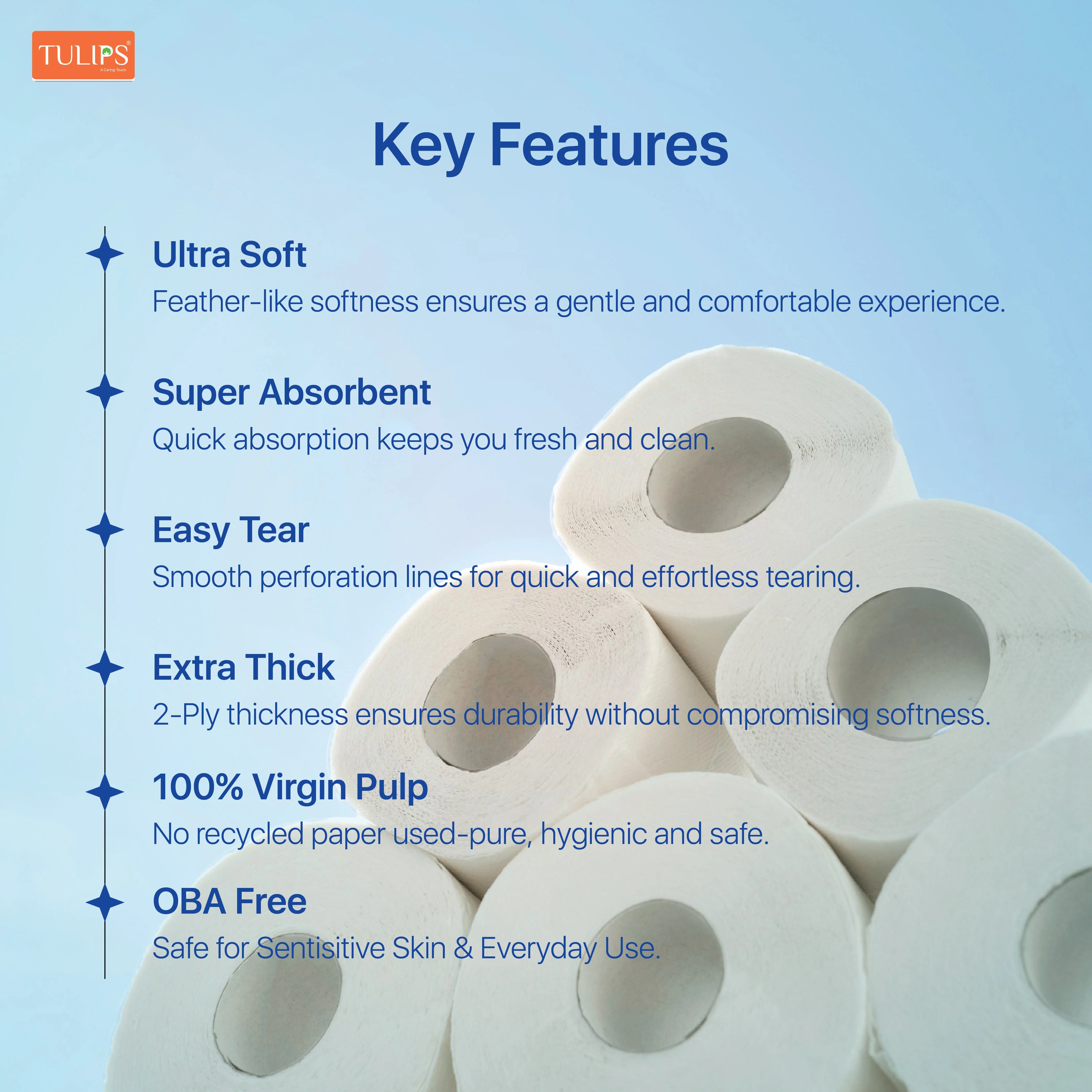 Toilet Roll (300 Pulls I 3 Ply) - Image 5