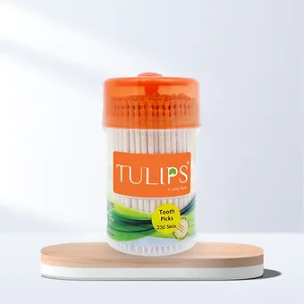 Wooden Toothpicks (240 Sticks in a Jar) - Image 4